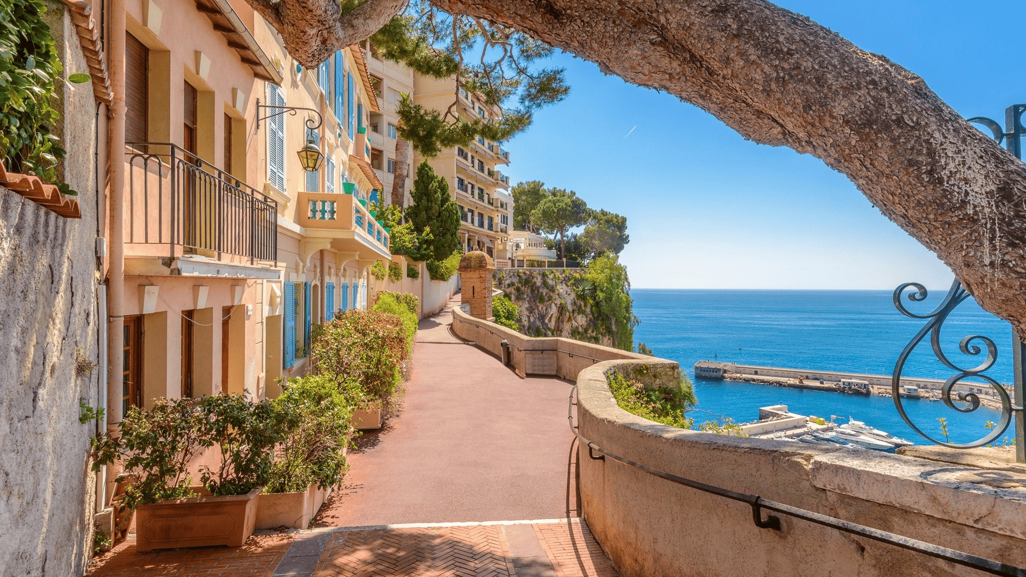 Le Rocher de Monaco - Miells