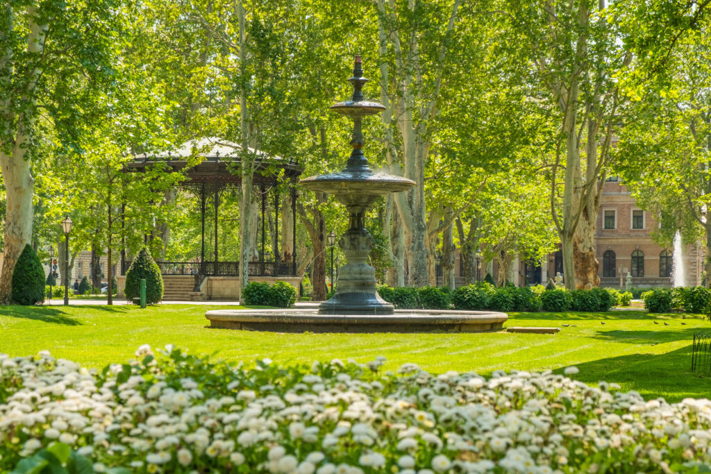 Ferradura Verde de Lenuci Zagreb - Time Out