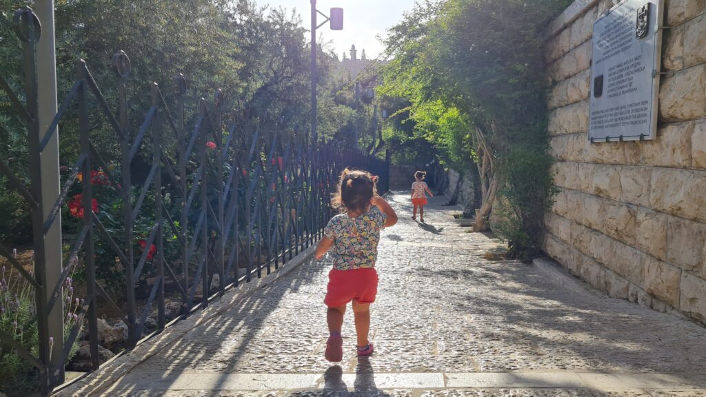 Jardim Getsêmani Jerusalém - Magu Mathias