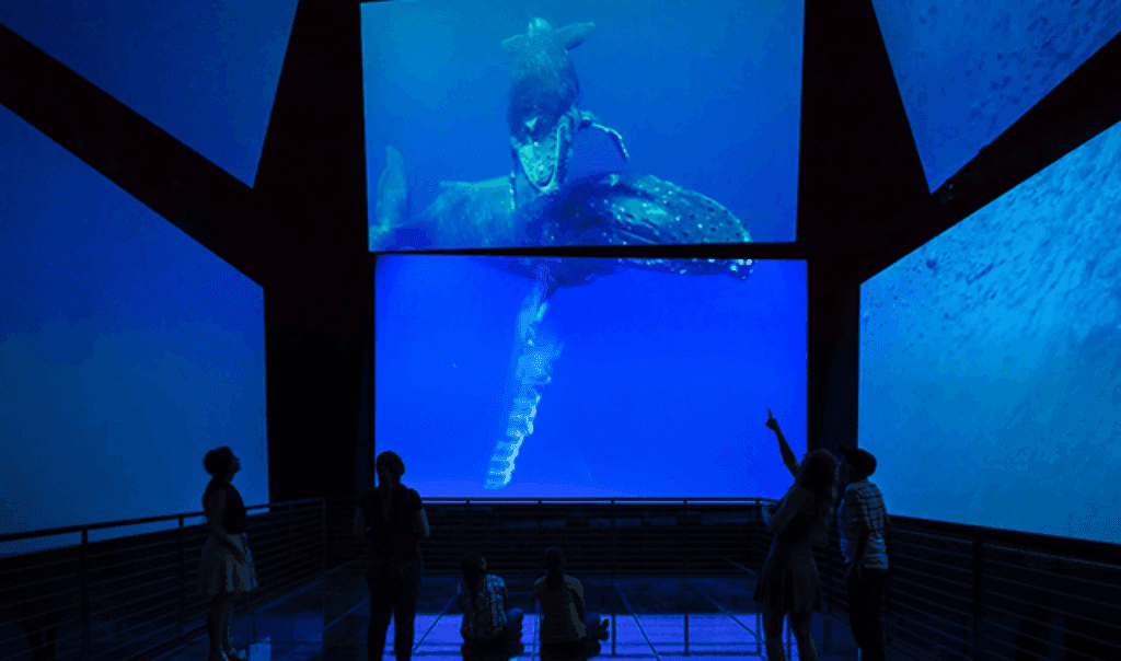 Biomuseo Cidade do Panamá - Massive Change Network