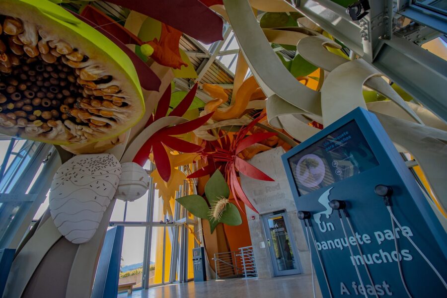 Biomuseo Cidade do Panamá - Nativa Tours