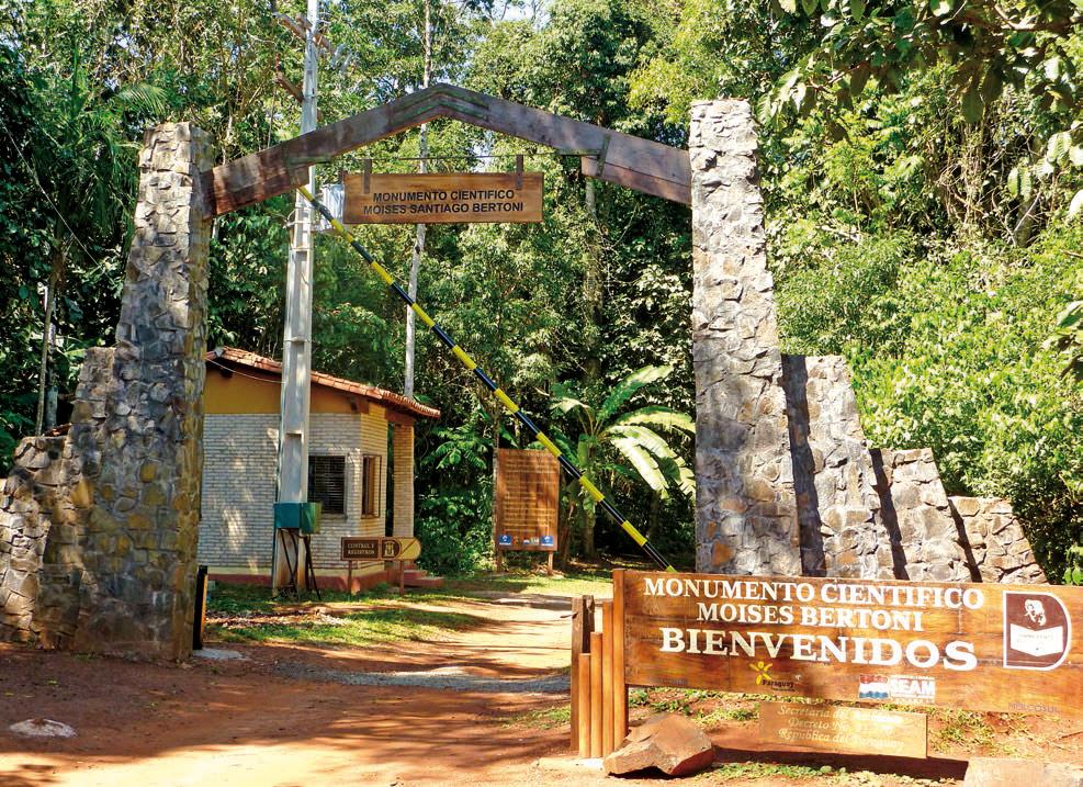 Museu Moisés Bertoni Ciudad del Este - Tour Cataratas
