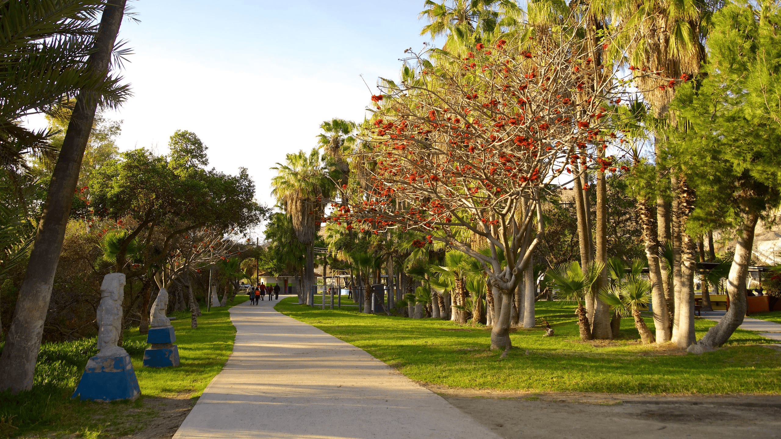 Parque Morelos Tijuana - Expedia