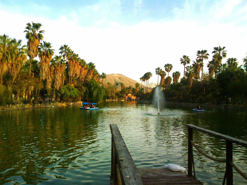 Parque Morelos Tijuana - Wheree