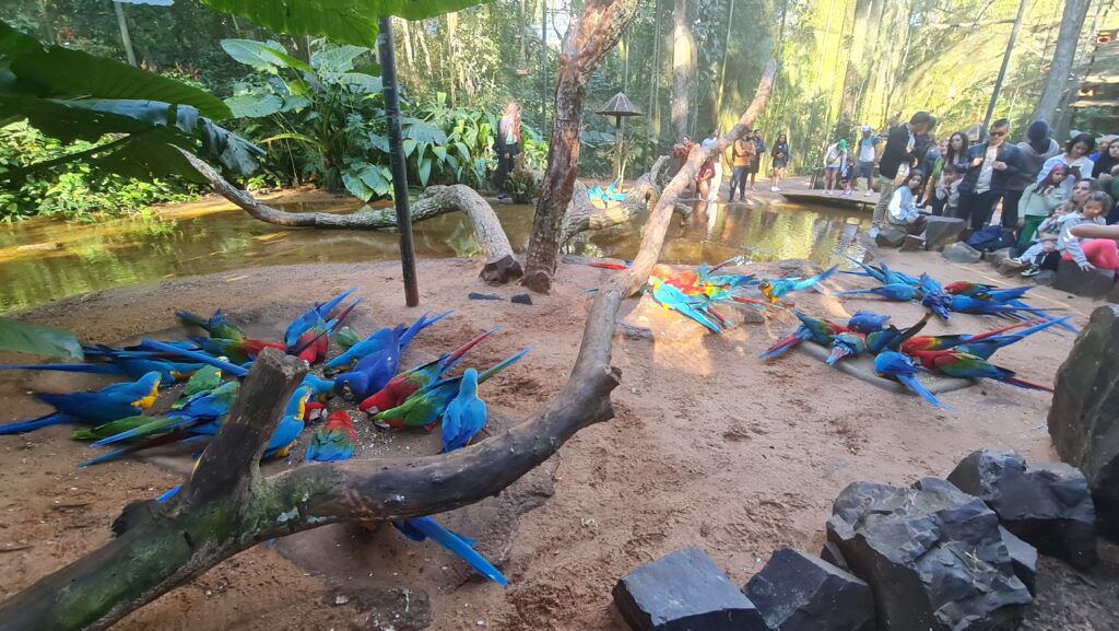 Parque das Aves Foz do Iguaçu - Magu Mathias