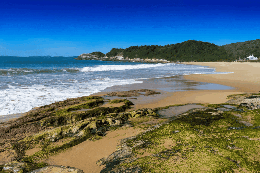 Praia do Pinho Balneário Camboriú - BC Convention