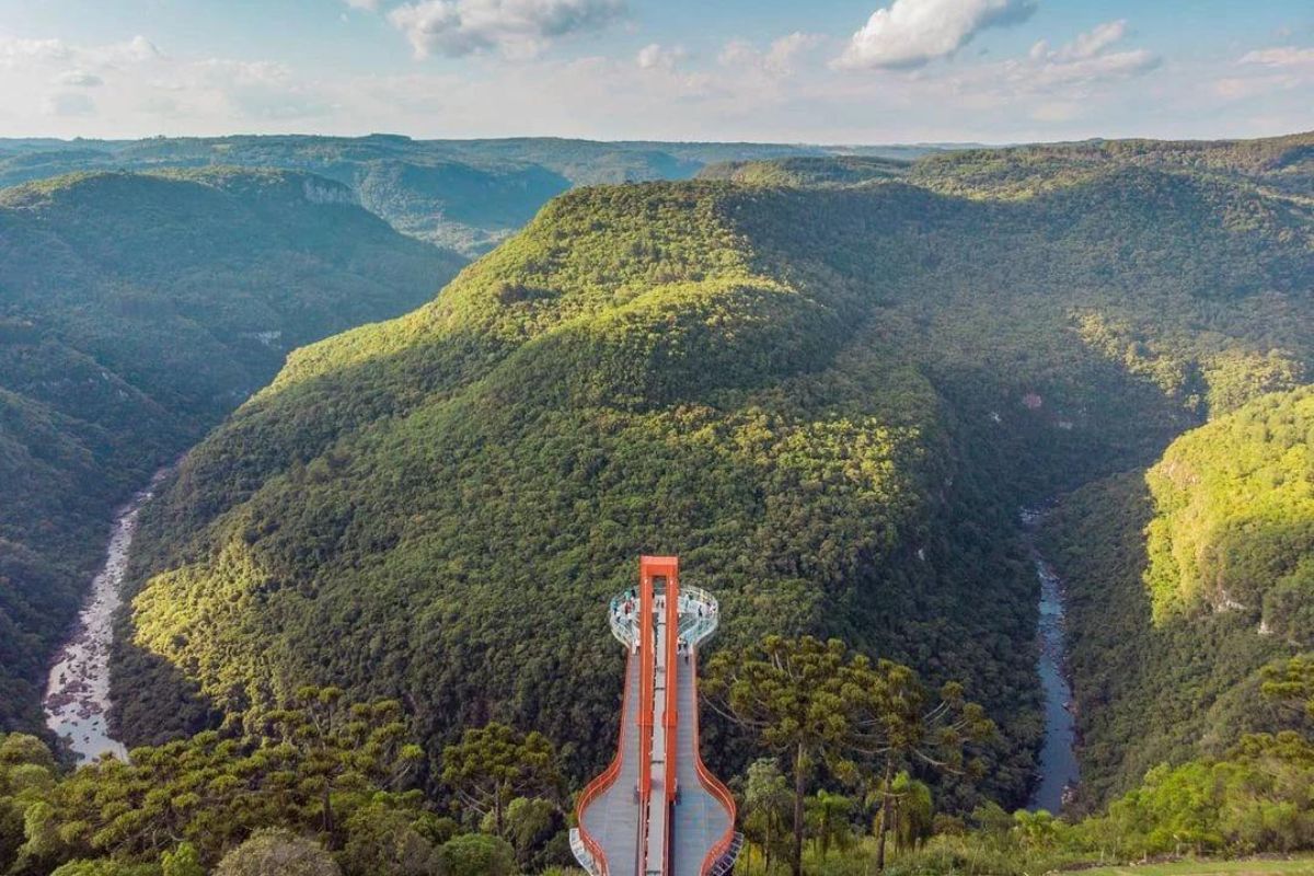 Skyglass Canela - Skyglass Canela