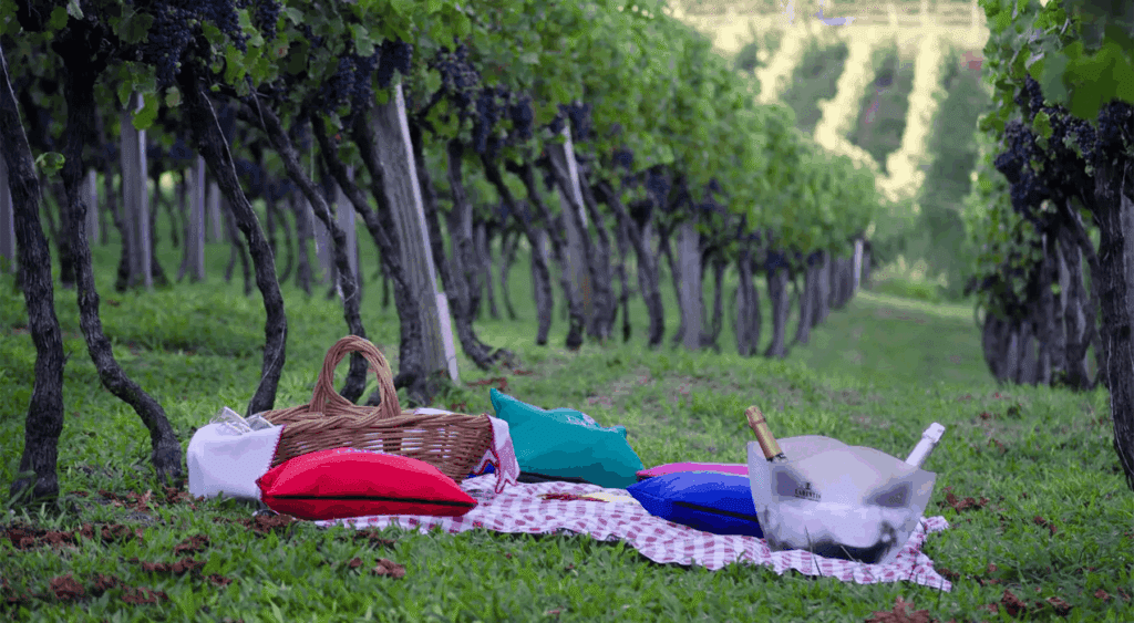 Vale dos Vinhedos Bento Gonçalves - Café Viagem