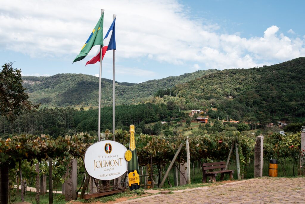 Vinícola Jolimont Canela - Vinícola Jolimont