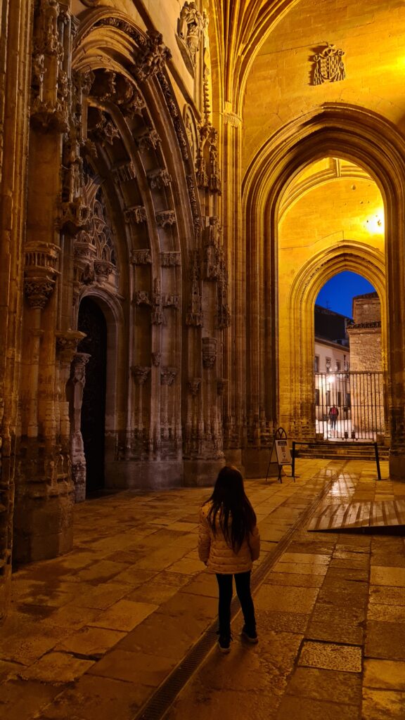 Catedral de Oviedo - Magu Mathias