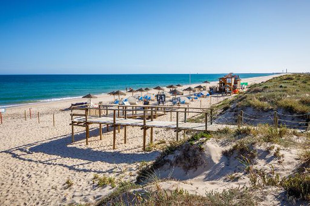 Ilha da Culatra - Visit Faro