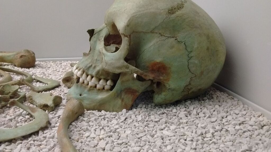 Museo Arqueologico de Asturias Green Skeleton - Atlas Obscura