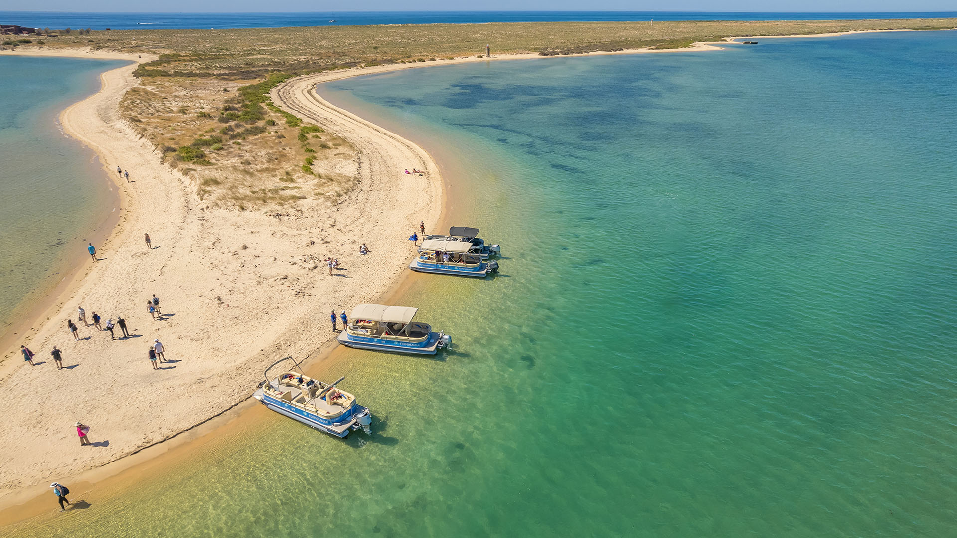 Passeios de barco pelo Parque Natural da Ria Formosa em Faro - formosamar.com