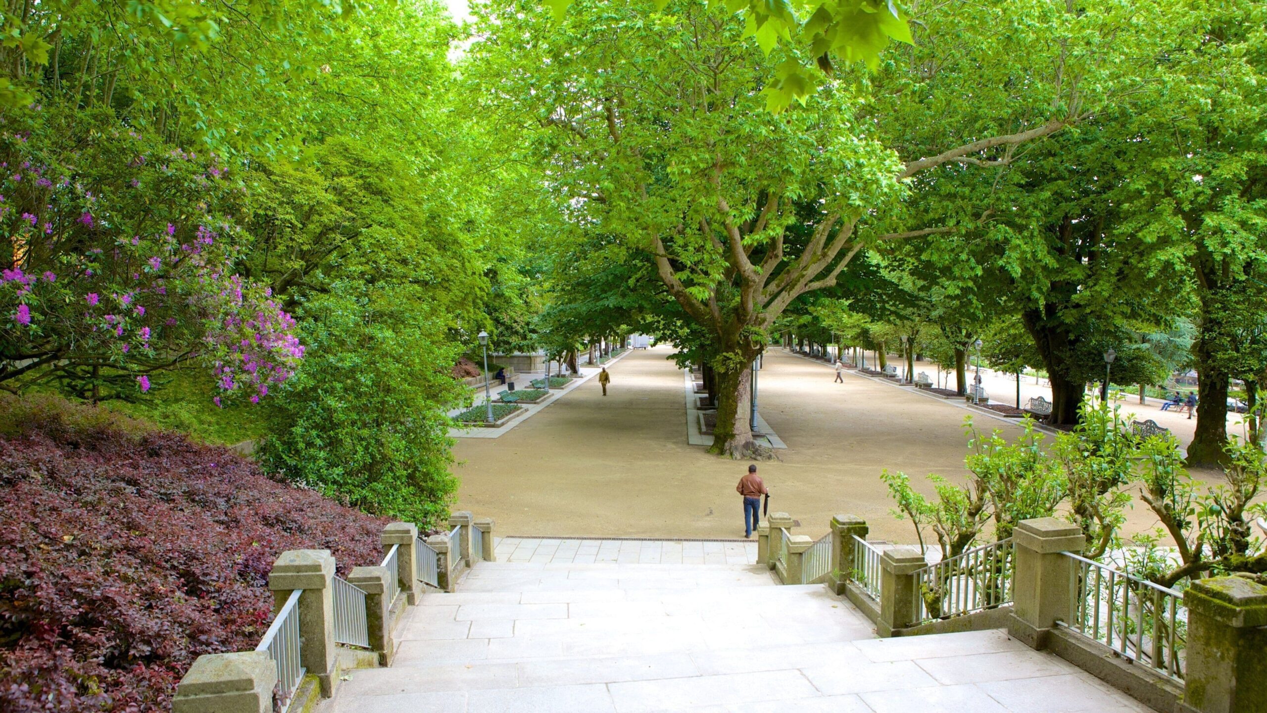 Parque Alameda no coração de Santiago de Compostela - Expedia
