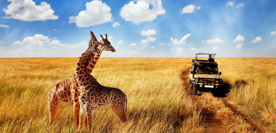 Africa do Sul - The Bespoke African Safari Co