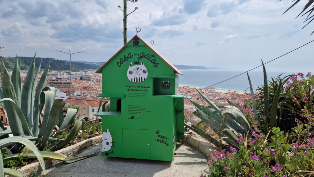 Cat Hangout Spot - CM Nazaré