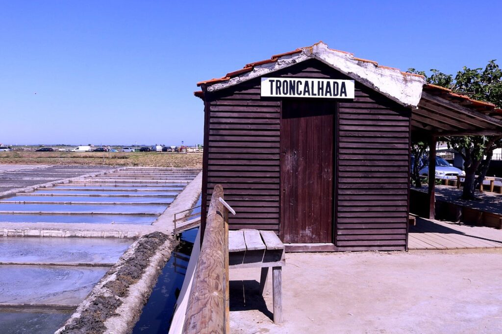 Ecomuseu Marinha da Troncalhada Aveiro - Medium