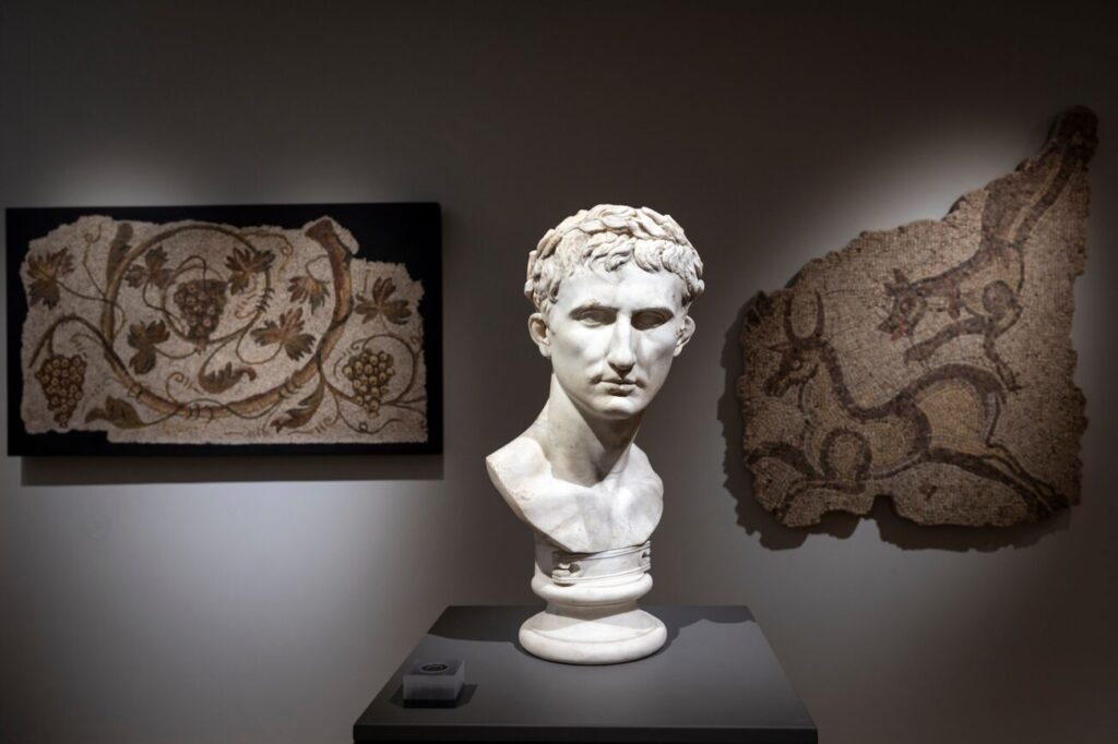 Museu de Arqueologia D. Diogo de Sousa Braga - O Vilaverdense