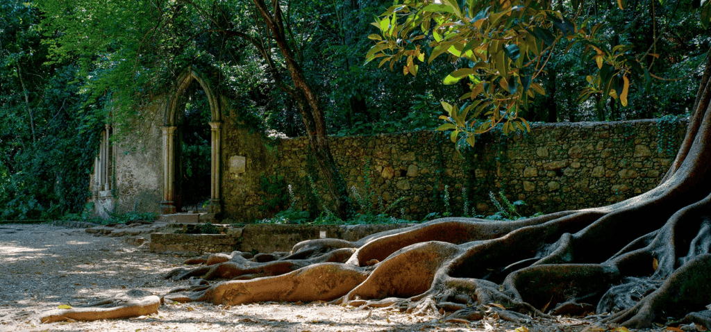 Quinta das Lagrimas Coimbra - Andarilho