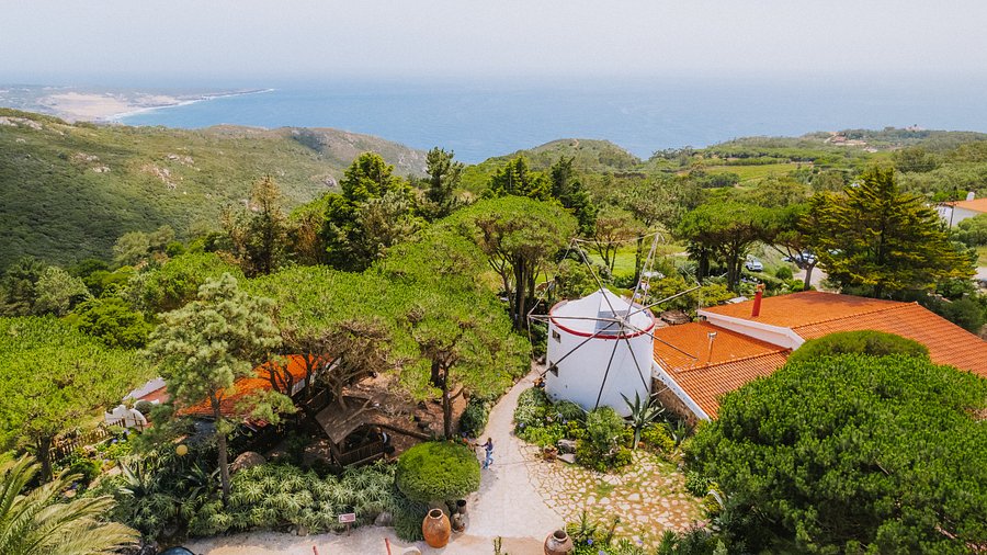 Restaurante Moinho Dom Quixote Sintra - Tripadvisor