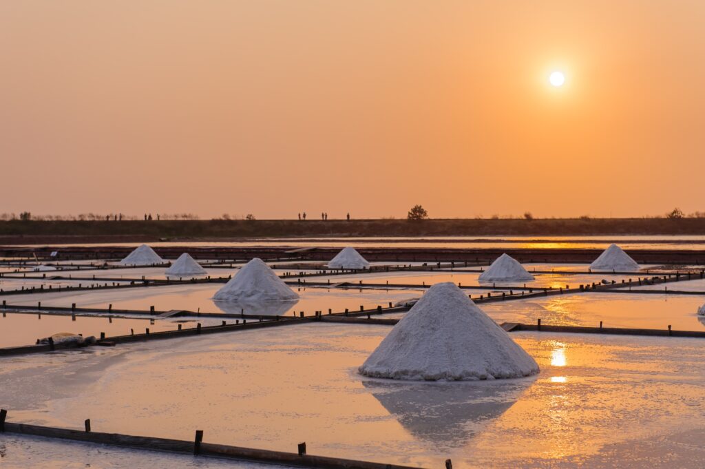 Salinas de Aveiro - Living Tours