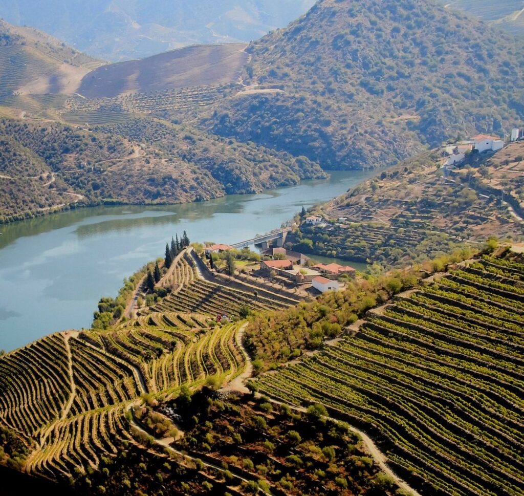 Vinicolas de Vila Nova de Gaia - Tripadvisor