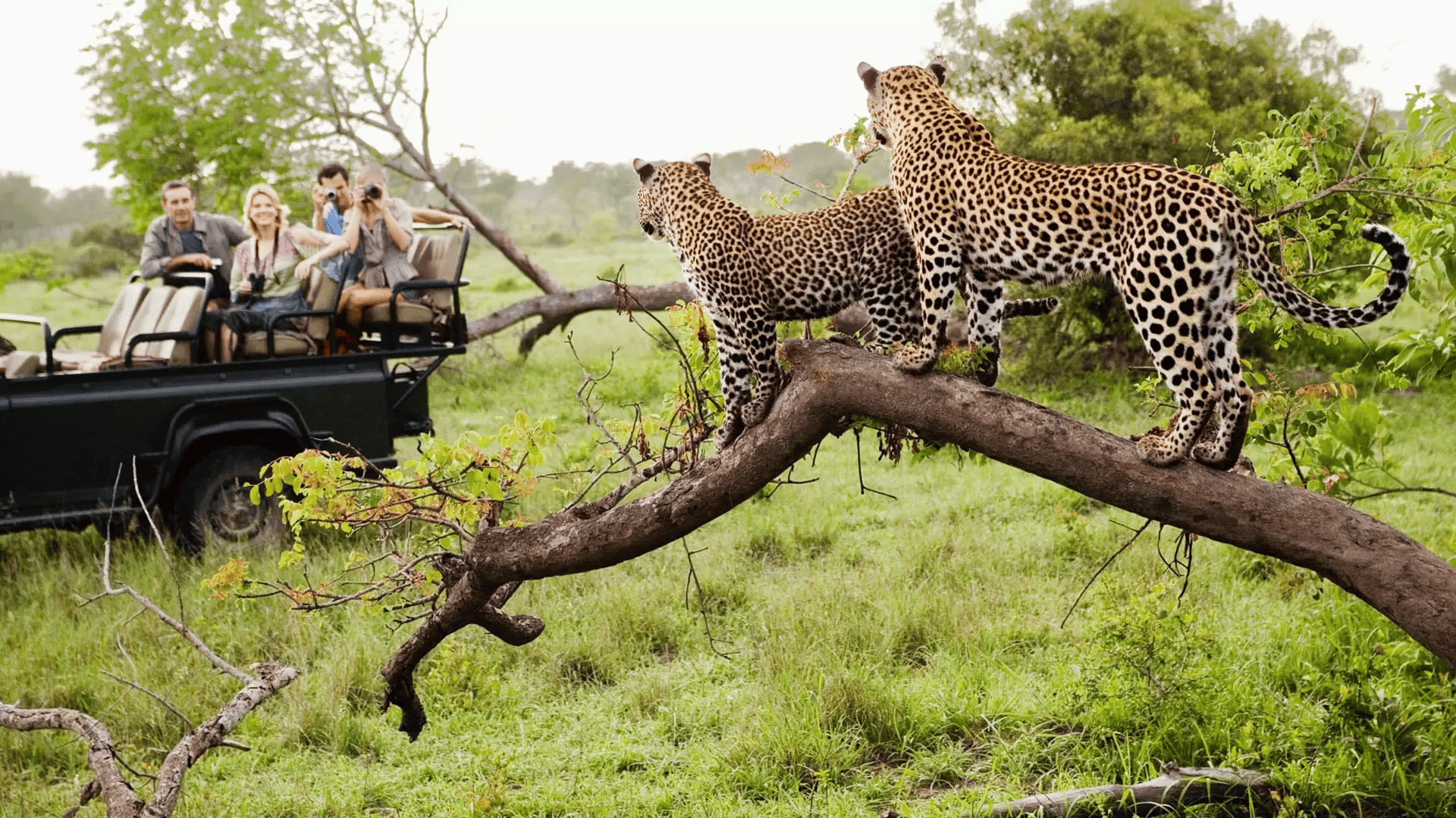Zimbabue - East Africa Adventures