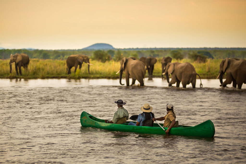 Canoe Safari - Victoria Falls