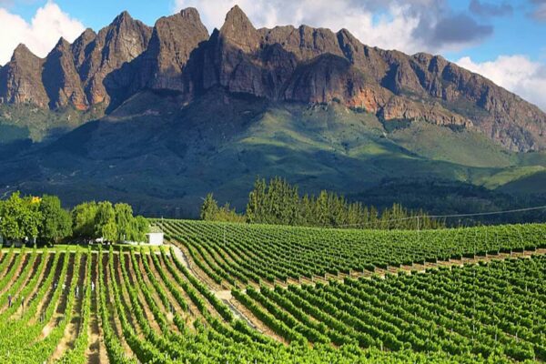 Cape Winelands - MT Sobek