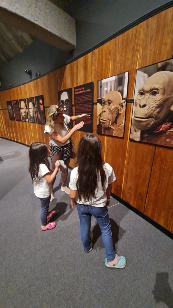 Cradle of Humankind Joanesburgo - Magu Mathias
