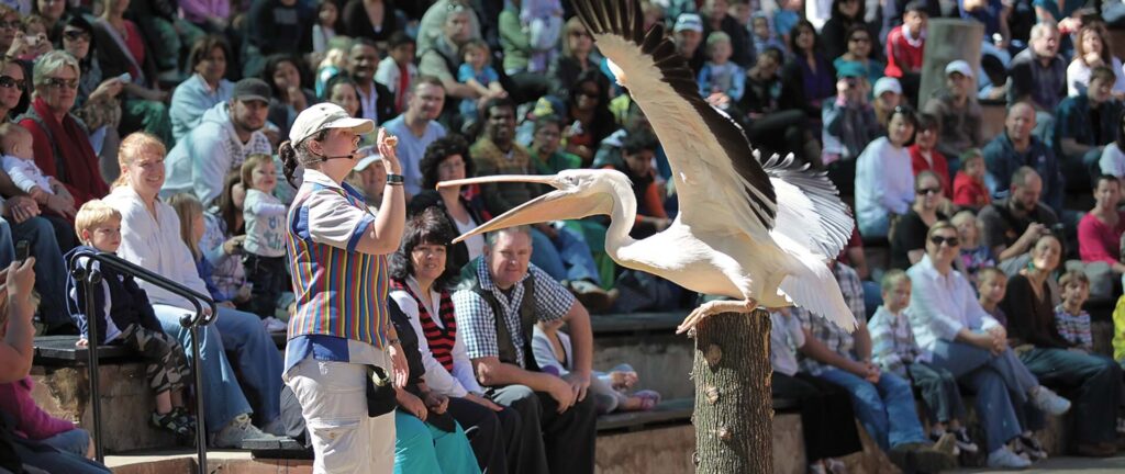 Montecasino Bird Gardens Joanesburgo - South African Tourism