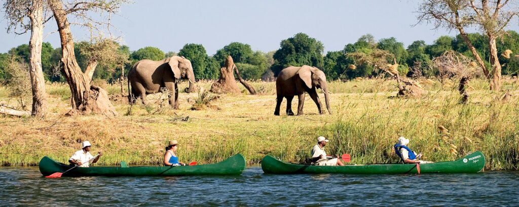 Safari em Livingstone Zambia - Art of Safari
