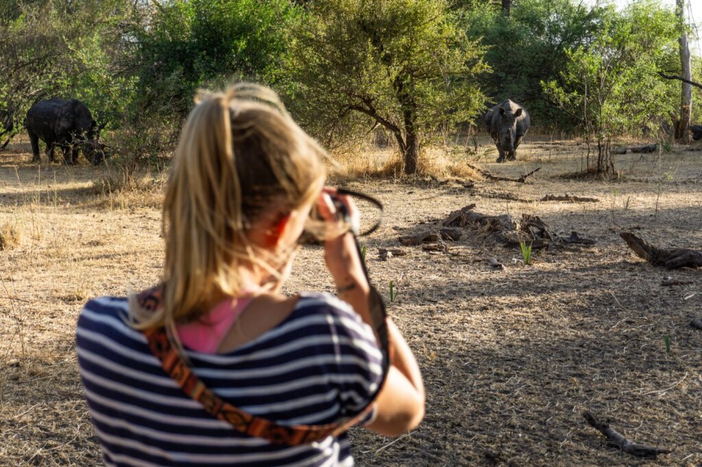 Safari em Livingstone Zambia - Jollyboys Backpackers