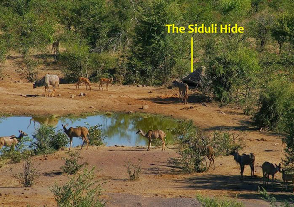 Siduli Hide - Victoria Falls Guide