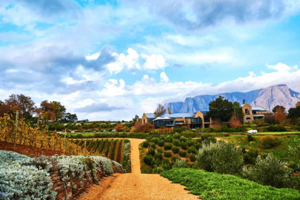 Stellenbosch Africa do Sul - Qantas