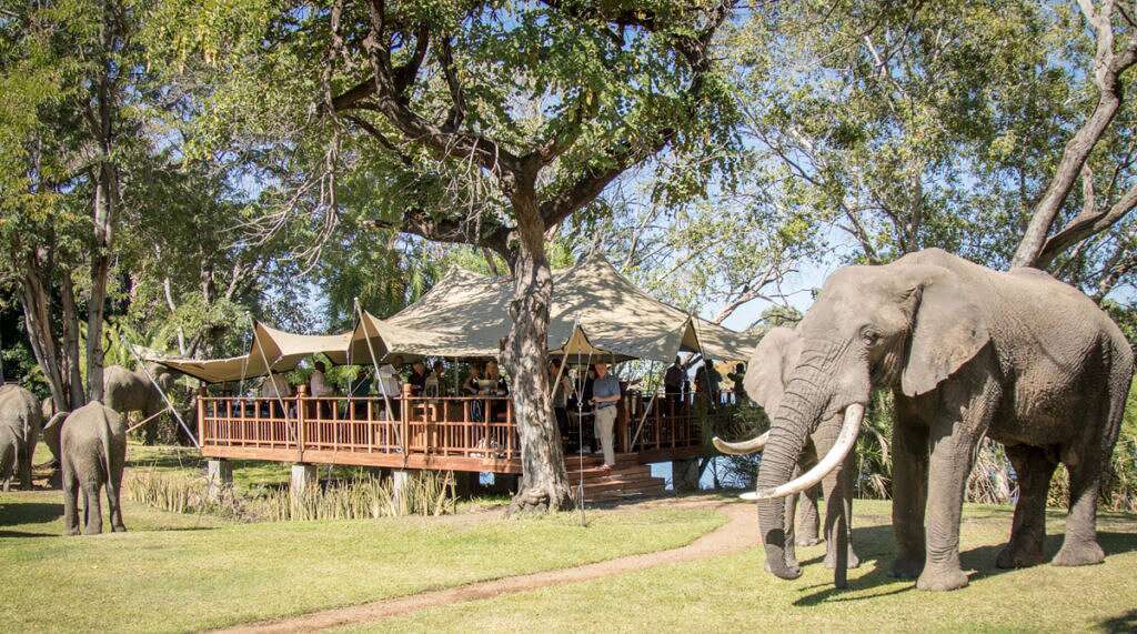 The Elephant Cafe Livingstone - ZAMAG Tours and Safaris