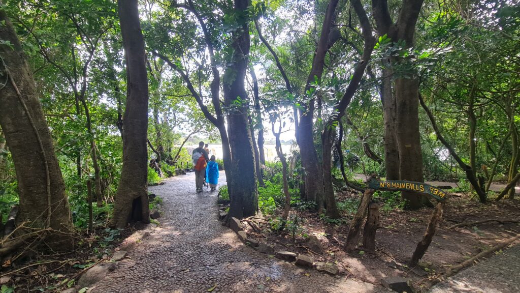 Victoria Falls 2 - Magu Mathias