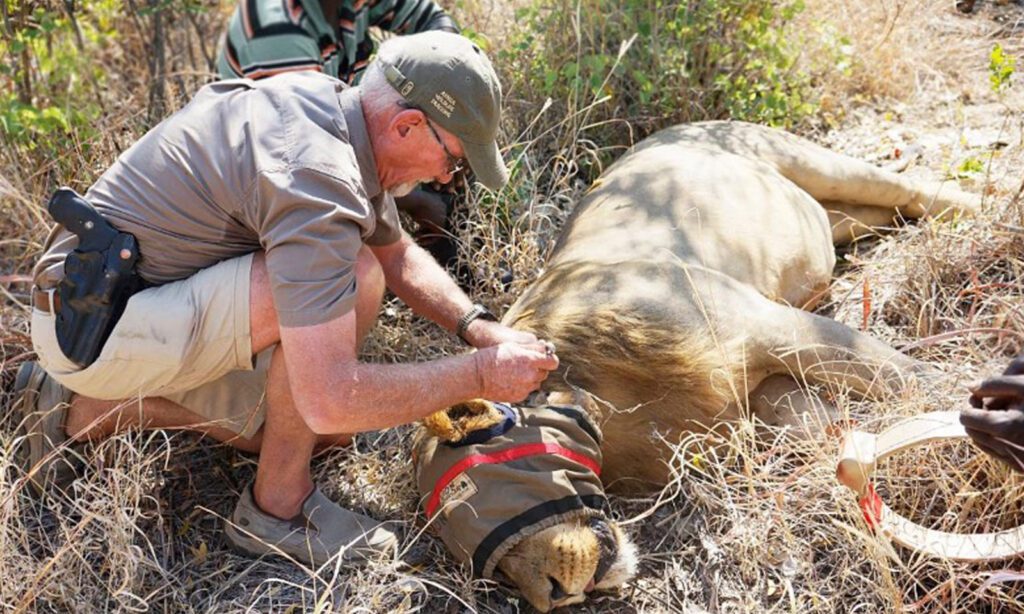 Iniciativas de conservação ecológica - Victoria Falls Wildlife Trust
