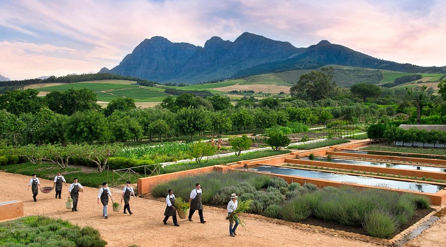 Babylonstoren Franschoek - Tripadvisor