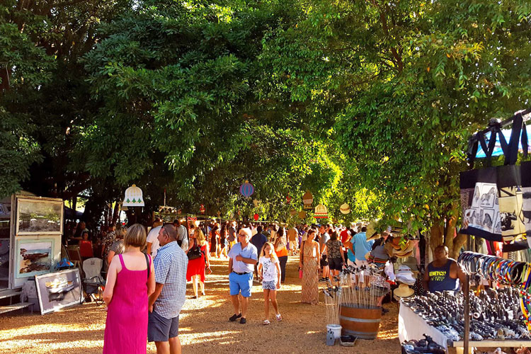 Blaauwklippen Family Market Stellenbosch - Cape Market