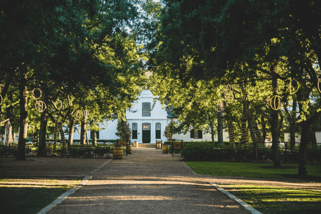 Boschendal Wine Estate - Franschoek Wine Tram
