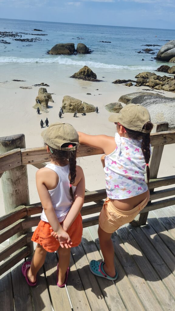 Boulders Beach Cidade do Cabo - Magu Mathias