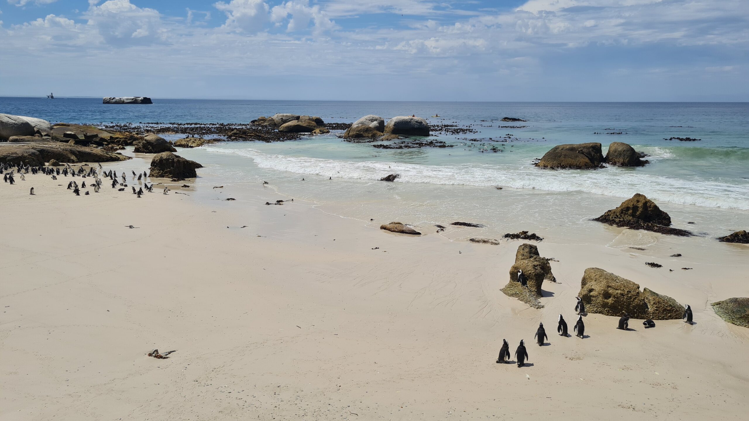Boulders Beach Cidade do Cabo - Magu Mathias