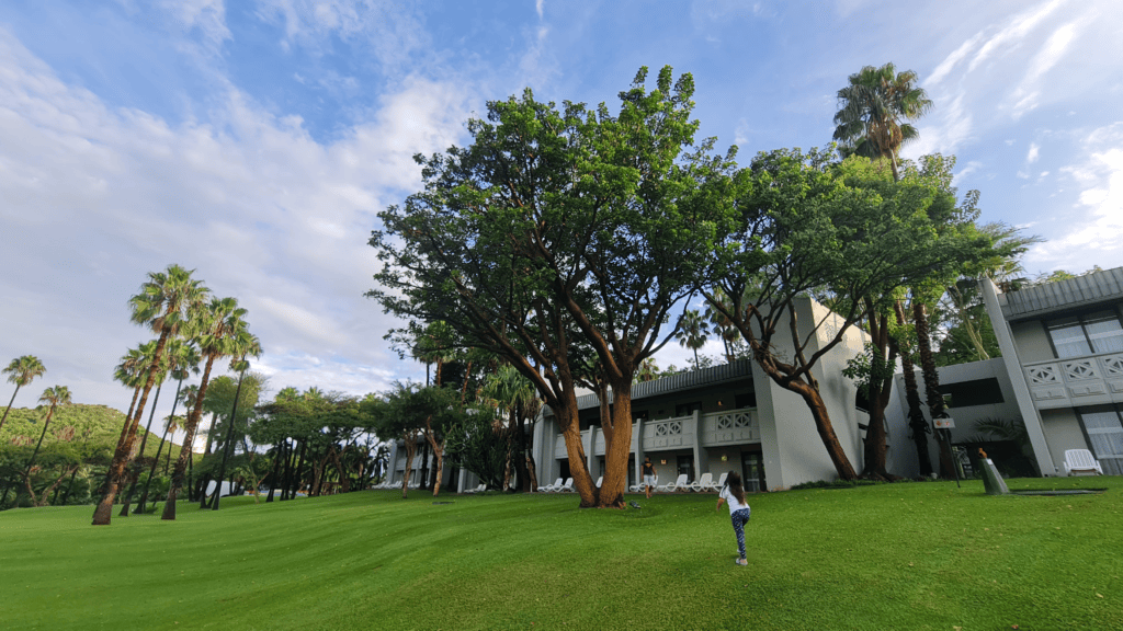 Como visitar Sun City - Magu Mathias