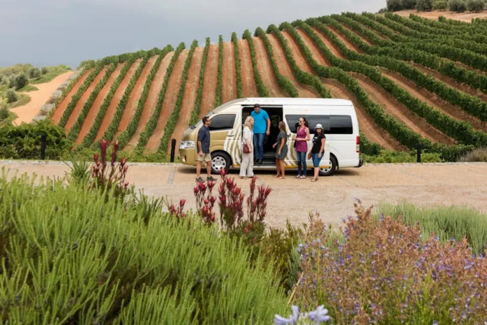 Excursões para Cape Winelands - KKDay