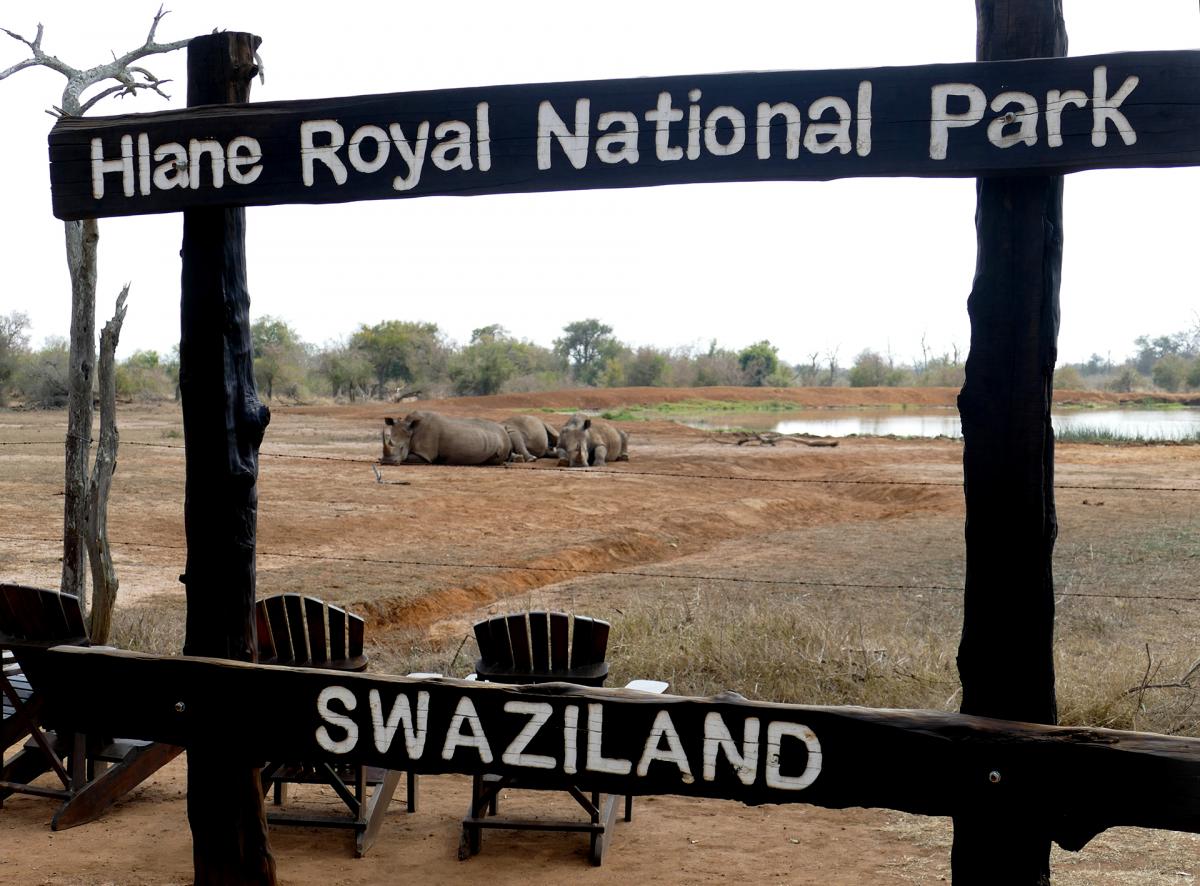 Hlane Royal National Park Essuatini - Africa Safaris