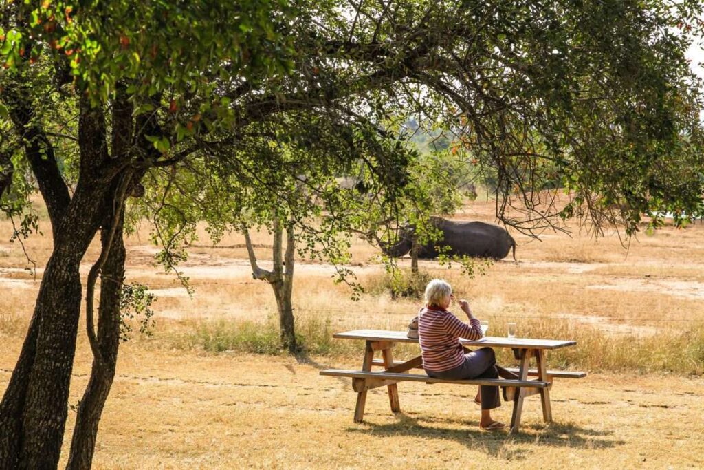Hlane Royal National Park Essuatini - Eswatini Tourism Authority