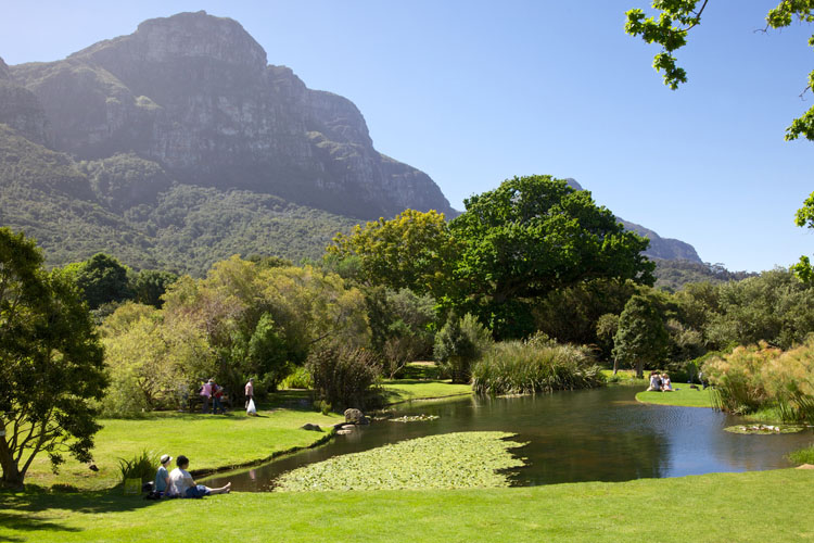 Kirstenbosch National Botanical Garden Cidade do Cabo - Inside Guide