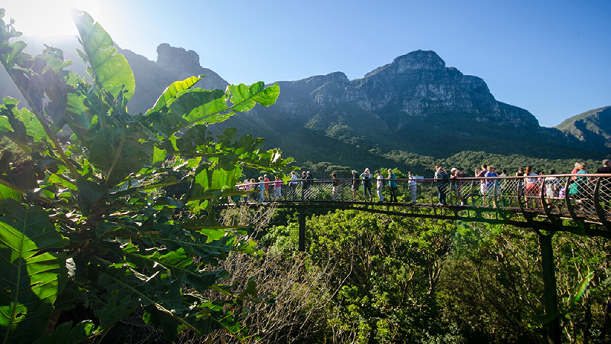 Kirstenbosch National Botanical Garden Cidade do Cabo - afar