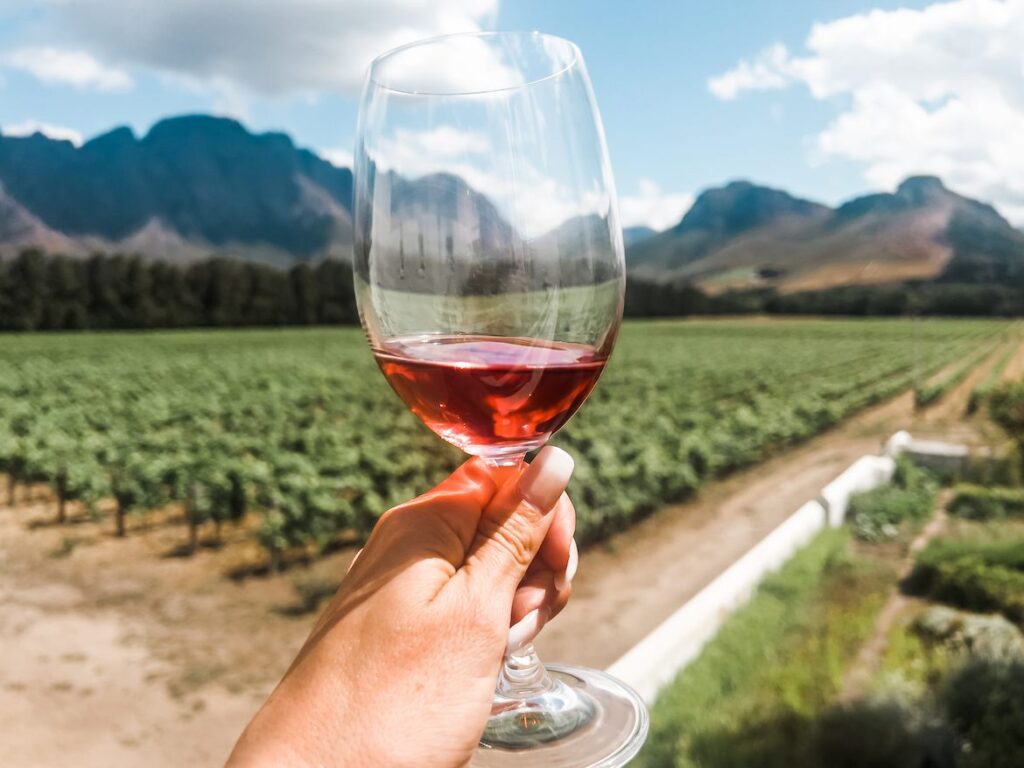 Melhor epoca para visitar Cape Winelands - Globe Guide